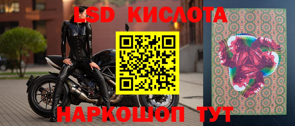 A-PVP Курск