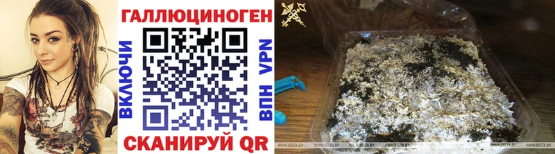 Галлюциногенные грибы мухоморы  Курск 