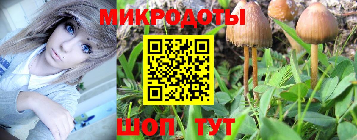 Псилоцибиновые грибы Magic Shrooms Курск