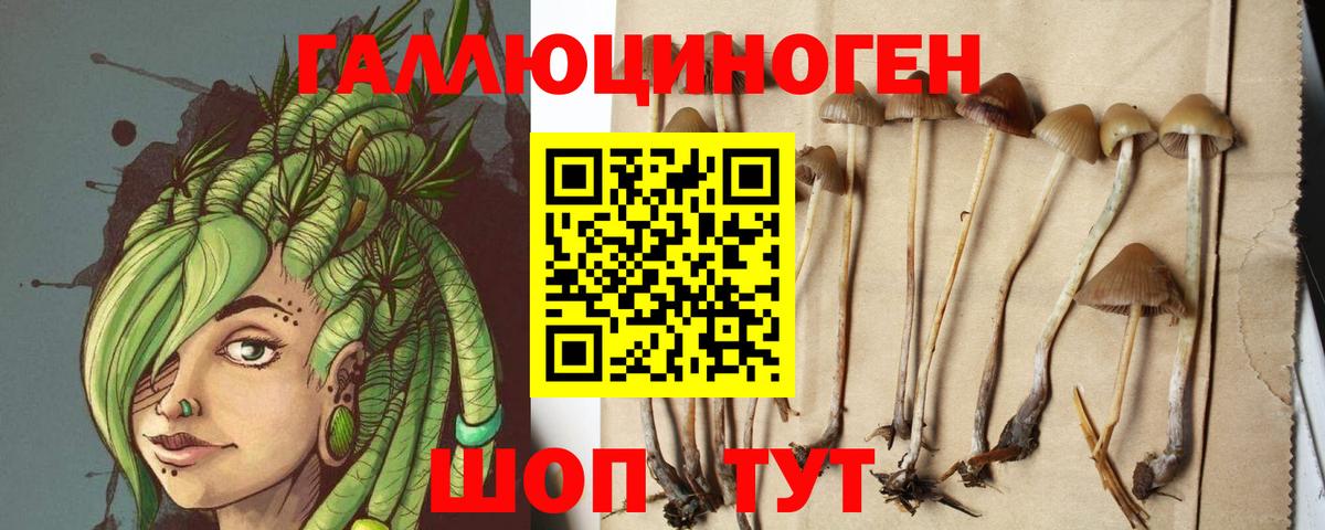 закладка  Вход с VPN  Курск  Псилоцибиновые грибы Psilocybe 