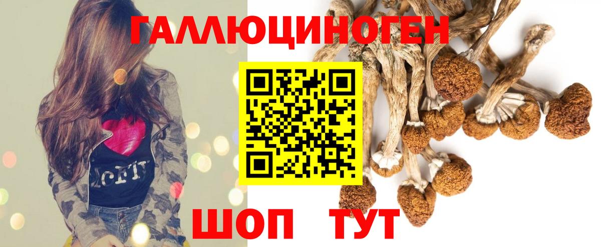 Галлюциногенные грибы MAGIC MUSHROOMS Курск